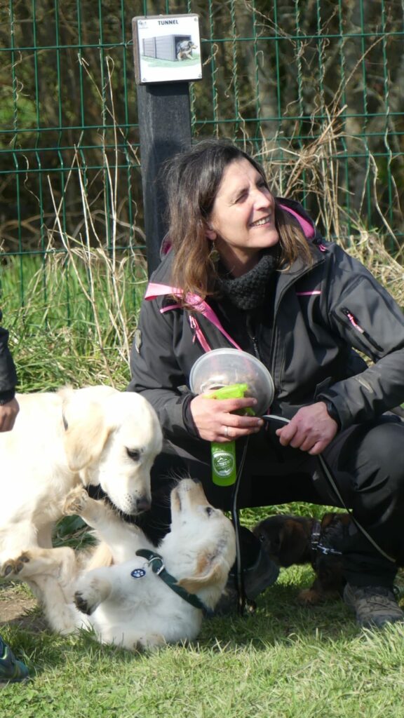 Comportementaliste canin